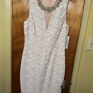 Eliza J Blush Lace Midi Dress with Jewel Neckline